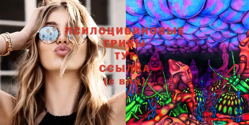 Галлюциногенные грибы Cubensis  Верхоянск 